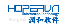润和软件HOPENRUN