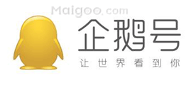 企鹅号