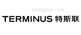 特斯联TERMINUS