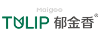 郁金香TULIP