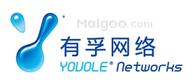 有孚网络