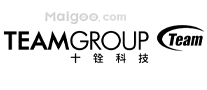 十铨TEAM