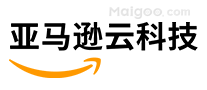 亚马逊云科技