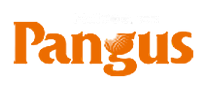 盘古信息Pangus