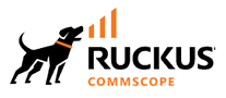 RUCKUS