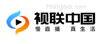 视联中国